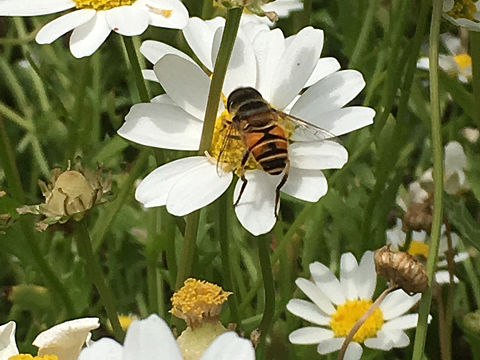 游记（个人主页-ZMTkzMDg1NDg=） - 风光摄影 - 站酷设计师婷婷0126原创素材 - 站酷ZCOOL