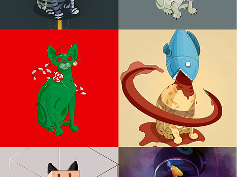 六张猫系列完结