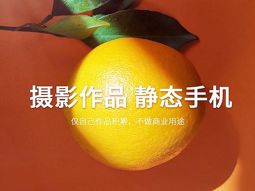 脐橙手机摄影