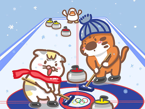 北京冬奥会之冰壶