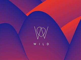 《我爱的-Wild》红酒品牌&包装设计