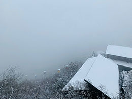 不一样的南山竹海