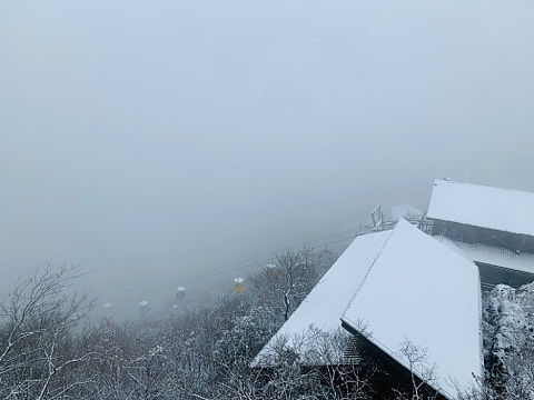 不一样的南山竹海
