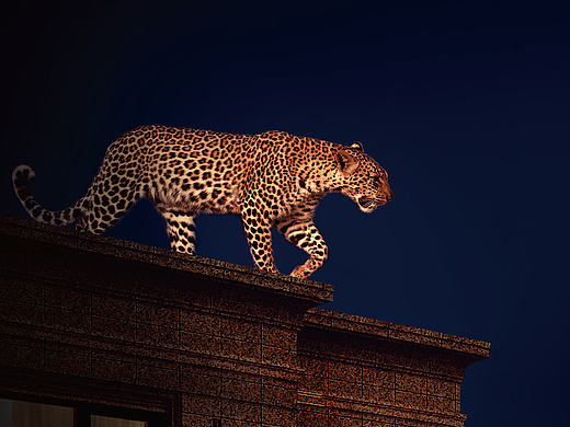 绿地海珀星辉项目－房地产企划视觉设计（3）