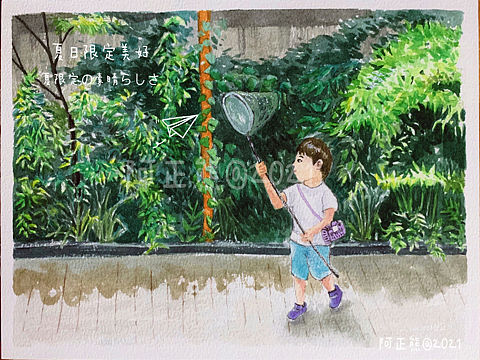#水彩插画#夏末.童趣