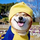 時間不語的头像