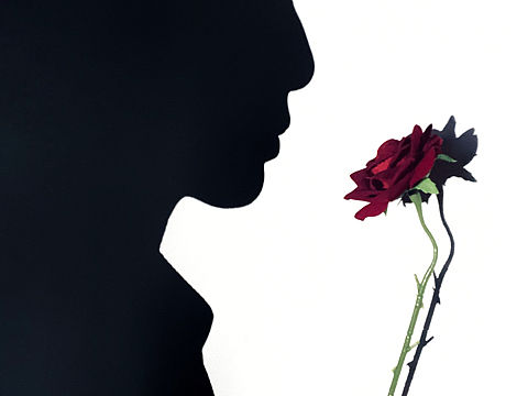 花影（個(gè)人主頁(yè)-ZNDI0NTQ5MjQ=） - 人文/紀(jì)實(shí)攝影 - 站酷設(shè)計(jì)師想當(dāng)貓的老鼠原創(chuàng)素材 - 站酷ZCOOL