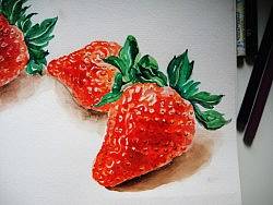 Strawberries——水彩