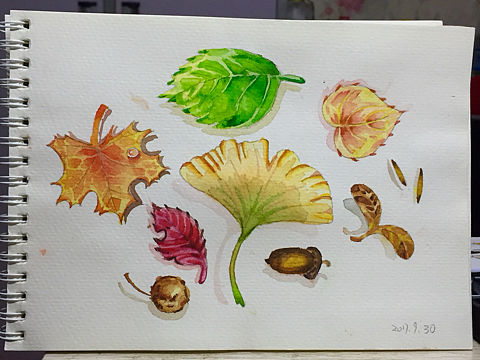 [水彩手绘] 叶子