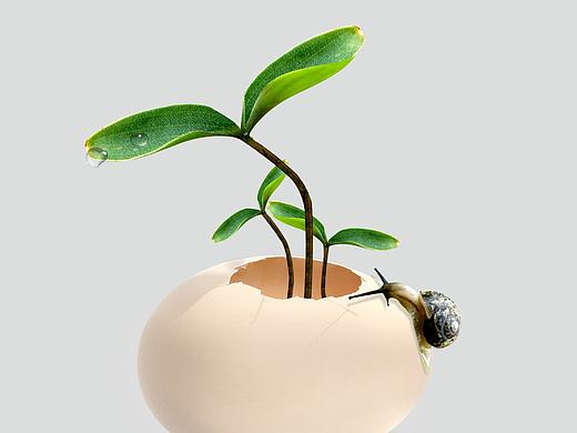 地产广告-万景嘉苑项目-二十四节气之夏至宣传海报