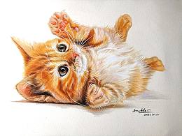 彩鉛畫《小奶貓》