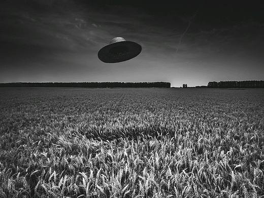 草帽和它的麦田