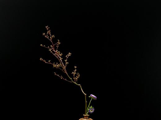 极简——草月习作