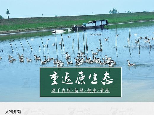 众筹家禽详情设计