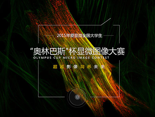 奥林巴斯活动页面