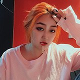 落地楠的头像