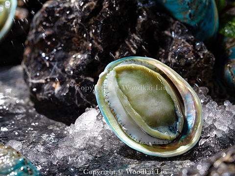 【半海海鲜火锅】