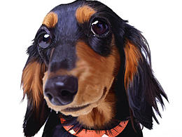 十年前的作品剩下的只有青春的回憶~