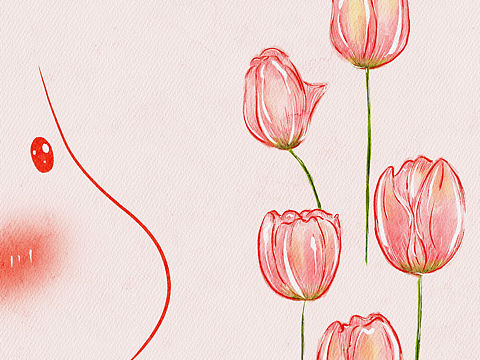 肥肥的和郁金香（个人主页-ZNTk1MTA3NzI=） - 商业插画 - 站酷设计师九狸小孩原创素材 - 站酷ZCOOL