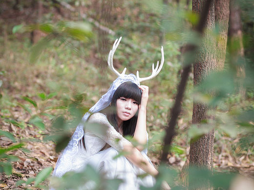 &quot;冬日寻鹿&quot;