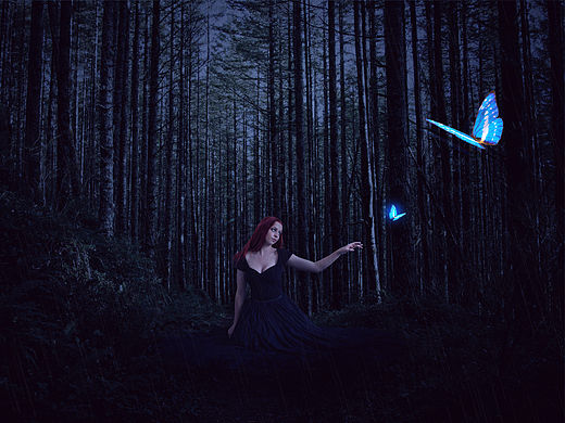 ps迷幻森林练习