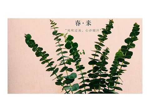 四月物语•系列一