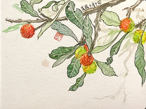 绘画步骤分享——杨梅2