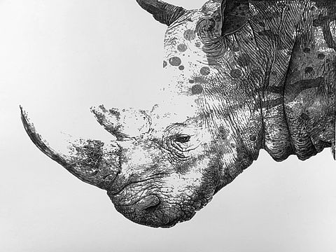 定义的爱情（个人主页-ZNDE4ODMzNzY=） - 绘画 - 站酷设计师赵磊艺术家原创素材 - 站酷ZCOOL