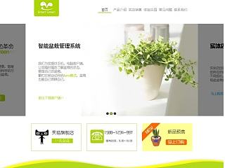 Smart Green 网页设计