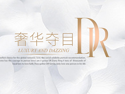 dr钻戒海报