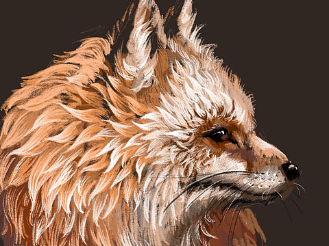 狐狸（个人主页-ZNTMyODMyMDg=） - 创作习作 - 站酷设计师我叫WJN原创素材 - 站酷ZCOOL