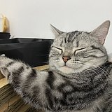 UUYuki的头像