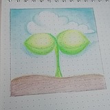NISHUOSHA的头像