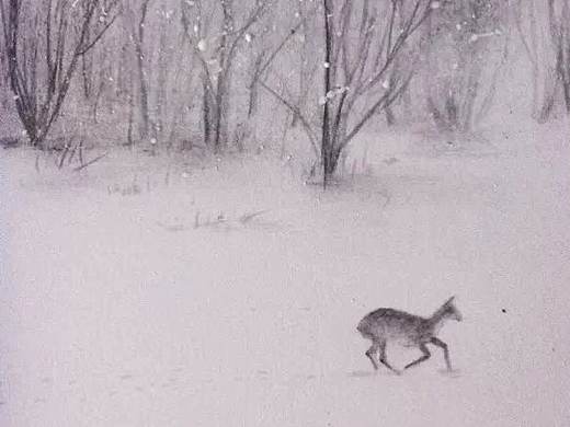 彩鉛（個人主頁-ZMTc2NDgxNDg=） - 繪畫 - 站酷設(shè)計師一生夢里原創(chuàng)素材 - 站酷ZCOOL