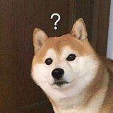 王小可A的头像