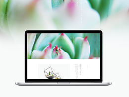 多肉網(wǎng)站練習(xí)（練習(xí)，非商用）