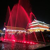 椰果布丁的头像