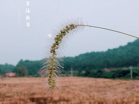 夏·秋（个人主页-ZMzAzODc0MDA=） - 产品摄影 - 站酷设计师冷面呆呆原创素材 - 站酷ZCOOL