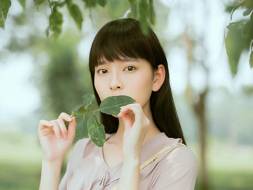 禅鸣的夏季