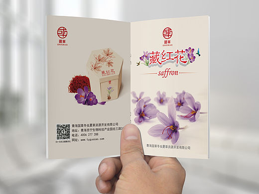藏红花说明书 手册设计
