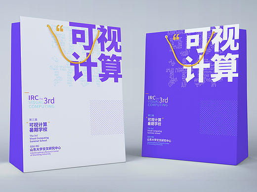 山東大學(xué)交叉研究中心第三屆“可視計(jì)算”暑期學(xué)校（個(gè)人主頁-ZMjE0MzAyMjQ=） - 宣傳物料 - 站酷設(shè)計(jì)師齊鳳梨SnailQ原創(chuàng)素材 - 站酷ZCOOL