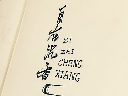 【禅·木】随笔