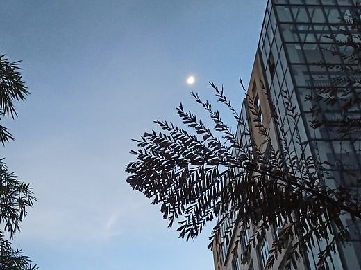 傍晚（个人主页-ZNDg1NzUxNTI=） - 环境/建筑摄影 - 站酷设计师小美和图图原创素材 - 站酷ZCOOL