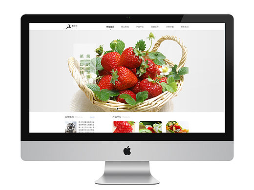 鹿沙企业网站设计