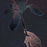 阿獄的头像