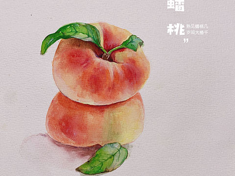 水彩静物