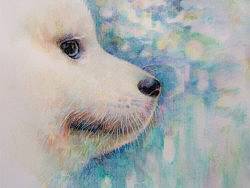 彩铅插画：关于狗狗的遐想