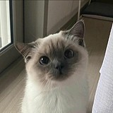 南衣NanYi的头像