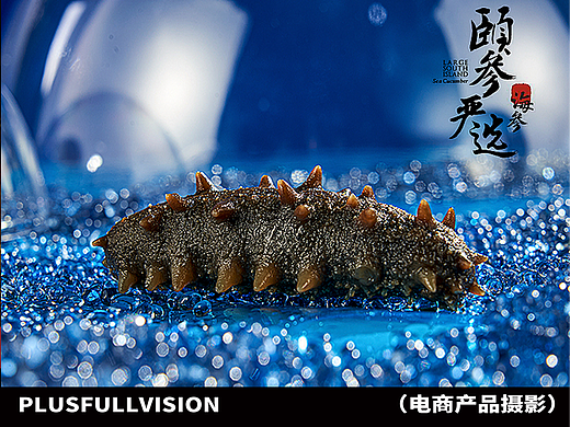 海参拍摄｜颐参严选海参✖️加号