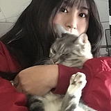 428阿猫的头像